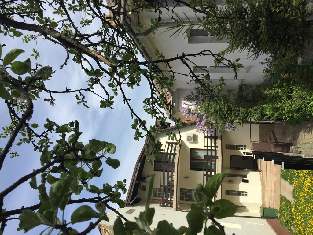 Casa Transilvania Brašov Exteriér fotografie